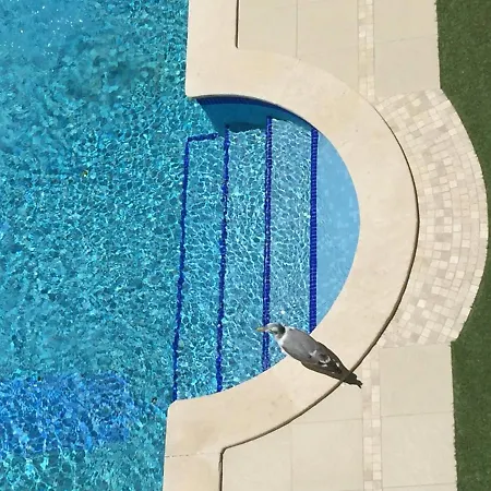 3 Min Walking To Peneco , + Pool + Wifi Apartment *